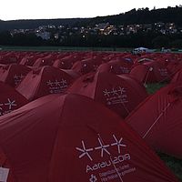 FSG19-FFG-0029