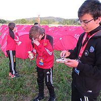 FSG19-FFG-0031