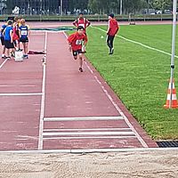 AT20-CCecoliers-034